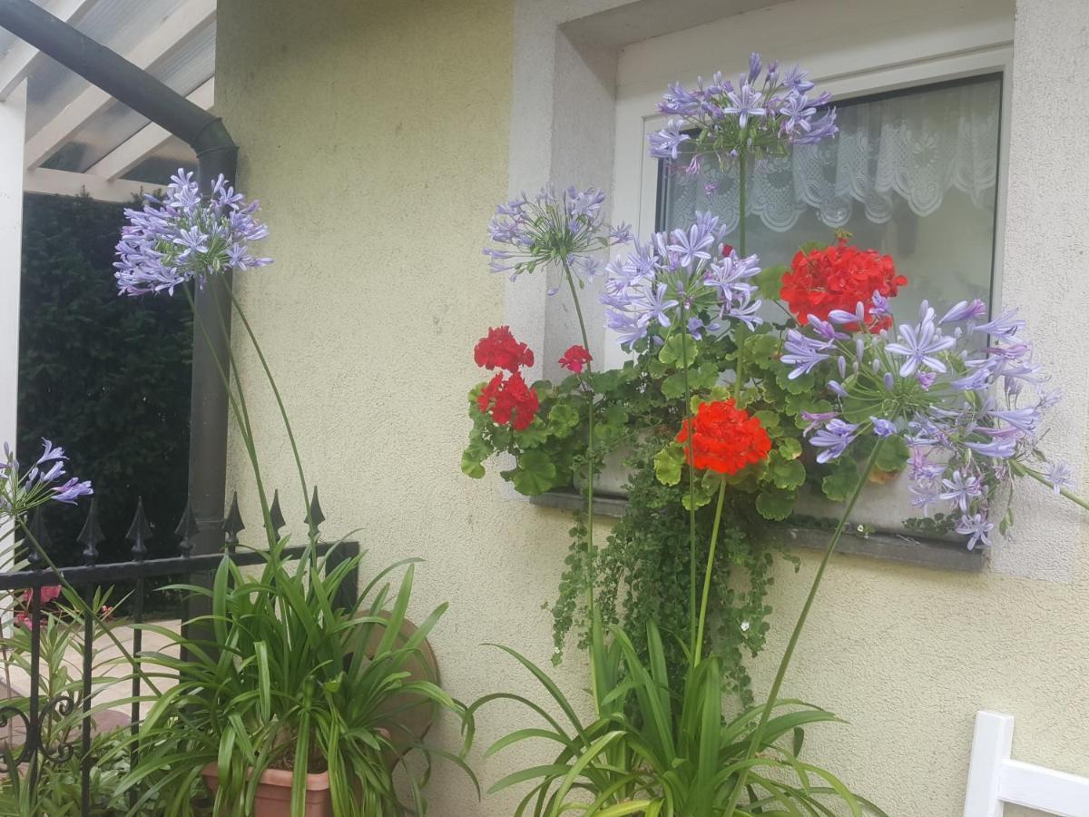 Tavirozsa Διαμέρισμα Balatonfůzfő Εξωτερικό φωτογραφία